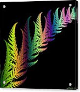 Rainbow Leaves Fractals Acrylic Print
