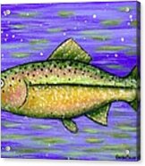 Rainbow Trout Acrylic Print