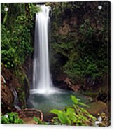 Rainforest Waterfall Acrylic Print