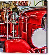 Ready For The Ring By Diana Sainz Acrylic Print