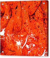 Red Abstract Art - Linked - By Sharon Cummings Acrylic Print