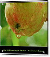 Red And Green Apple In Bokeh Acrylic Print