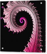Red And Pink Fractal Spiral Acrylic Print