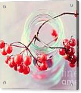 Red And Pink Acrylic Print