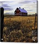 Red Barn In The Golden Field Acrylic Print