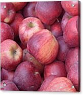 Red Delicious Acrylic Print