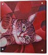 Red Feline Geometry Acrylic Print