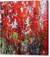Red Flowers Acrylic Print