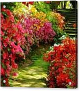 Red Garden Walkway Acrylic Print