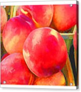 Red Haven Peaches Oil Paint Acrylic Print