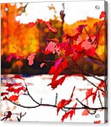 Red Leaves Across The Pond Acrylic Print