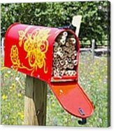 Red Mailbox Acrylic Print