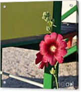 Red On Green Acrylic Print