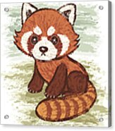 Red Panda Acrylic Print