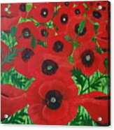 Red Poppies 1 Acrylic Print