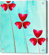 Red Shamrock Trio Acrylic Print