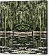 Reflecting Willows Acrylic Print