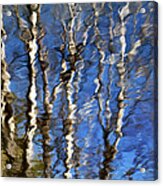 Water Reflection Aspen Trees Acrylic Print