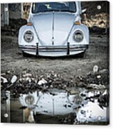 Reflection Of The Beetle Acrylic Print