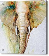 Regal Gold Elephant Acrylic Print