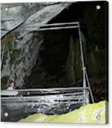 Researcher And Harp Trap At Aeolus Cave Acrylic Print