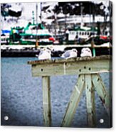 Resting At Pier 17 Acrylic Print