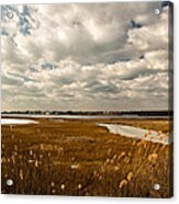 Rhode Island Marshes 1 Acrylic Print