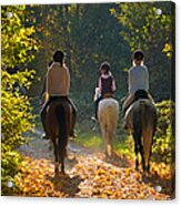 Riders With Horses In The Forest Acrylic Print