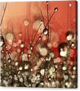 Riot Red Cactus Sparkles Acrylic Print