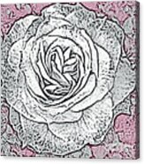 Ritzy Rose With Ink And Rose Pink Background Acrylic Print