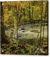 River In Autumn Acrylic Print