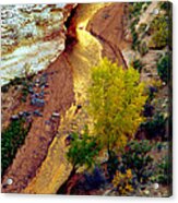 River Of Gold Acrylic Print