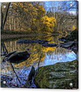 River Reflection Acrylic Print