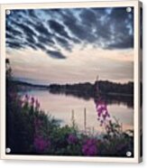 #river #umeå #flowers #umeälven Acrylic Print