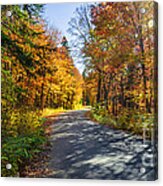 Road Through Fall Forest Acrylic Print