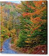 Road Through Autumn Woods Acrylic Print