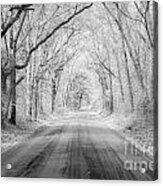 Road To Angel Oak In Infrared Acrylic Print
