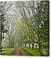 Road To The Manor House Acrylic Print