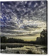 Roberts Branch Pine-lands Landscape Acrylic Print