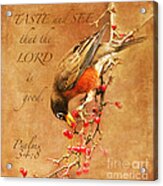 Robin Psalms Thirty-four Acrylic Print