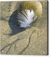 Rock And Feather Acrylic Print