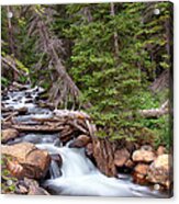 Rocky Mountains Stream Scenic Landscape Acrylic Print