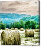 Rolled Bales Acrylic Print