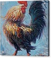 Rooster Acrylic Print