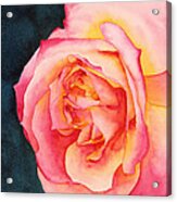 Rose Ablaze Acrylic Print