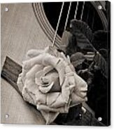 Rose Bloom Flower On Guitar In Sepia 3262.01 Acrylic Print