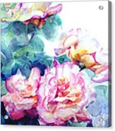 Watercolor Of A Blazing Pink Rose Bush Acrylic Print