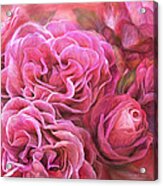 Rose Moods - Desire Acrylic Print