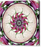 Rose Petal Pinwheel Acrylic Print