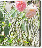 Missing You Greeting Card Acrylic Print